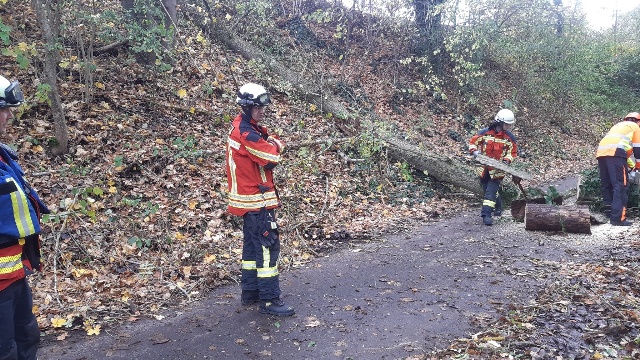 20231105_132531_resized groß.jpg